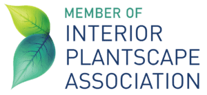 Coloured logo that reads "Member of Interior Plantscape Association" on a transparent background.