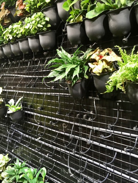 Plant pods on green wall structure